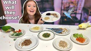 The Ultimate Bird Taste Test!