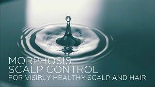 Morphosis Scalp Detox (ENG) | Framesi Official