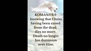 Freed From Sin, Alive To God