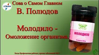 Молодило - Омолаживающее средство. Сова о главном. В. Полюдов. 21.09.2023