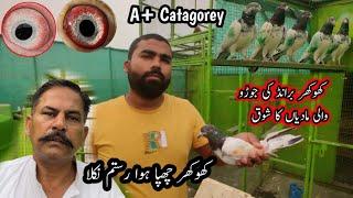 Umar Khokhar Brand Ki A+ Madiya Ka ShooQ || Kabootar Jind Jan Pakistan