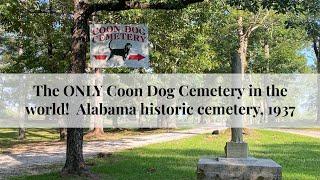 From movie, Sweet Home Alabama!”  Coon Dog Cemetery, Established in 1937 in rural Alabama