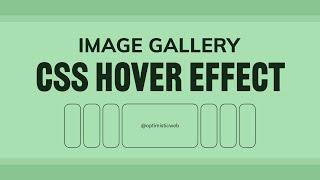 Create Sleek Image Gallery with Captivating Hover Effect