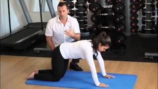 Hip Extension Exercise