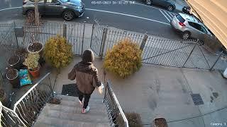 Reolink Captures Porch Pirate Stole Package 4K