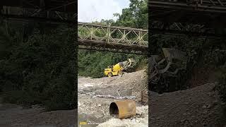 Ajax fiori Argo 4300
