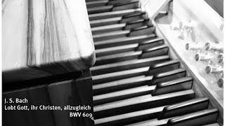 J. S. Bach: Lobt Gott, ihr Christen, allzugleich, BWV 609, Darko Pleli