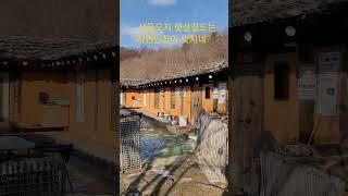 산골오지 햇살 잘드는 자연인 집이 멋진 이곳은?.