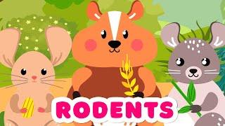 Animals for Kids | Rodents | Animal names & sounds