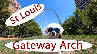 Tour of St Louis Waterfront & The Gateway Arch