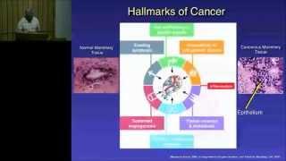 NCBS - Infosys Science Foundation Public Lecture by Prof. Inder Verma