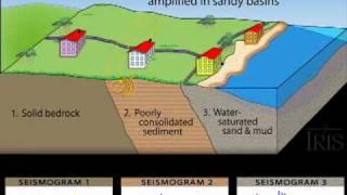 Amplification and Liquefaction Animation (Educational)