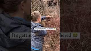 How To Deal With Vines: Don't Let Them Take Over!