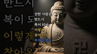 선한 사람은 반드시 복이 되어, 이렇게 찾아온다! #부처님말씀 #불교명상