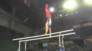 Jake Dalton (USA) - Parallel Bars - 2016 Pacific Rim Championships Team/AA Final