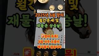 2025년 6월 말띠 월간운세 및 재물운 상승날! 말띠 주목!6월 사주 흐름이 예사롭지 않아요! #운세#재물복