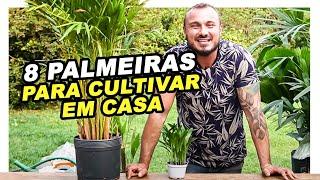 8 PALMEIRAS PARA CULTIVAR EM CASA | MURILO SOARES