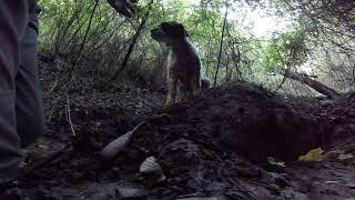 Tubi alla ricerca del Tartufo bianco nel giro "dei 4 fossi"