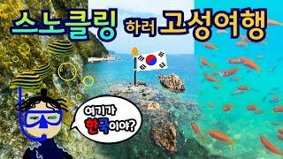 아직 덥다! 이번 주 스노클링 갈까?! | 고성 스노클링 성지 | 거진 맛집 | 고성 차박 | 백섬전망대 | 거진해수욕장 | 인제 맛집 | 원통 맛집 | 209