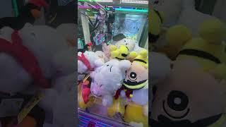#대뽑 #포케몬카드깡 뽑기가 쉽진 않네요