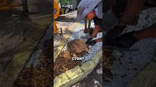 Как отделать тропинку щебнем вместо плитки и скрепить его #ремонт #стройка #лайфхак #сделайсам