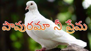 Jesus songs telugu | christian songs telugu | jesus songs | jesus