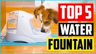 Top 5 Best Dog Water Fountain in 2022 Reviews