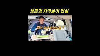 생존형 차박살이 현실 #긍정에너지 #긍정에너지
