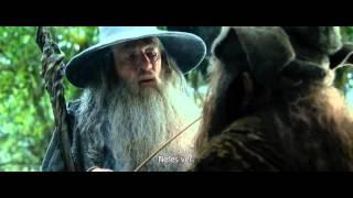 Radagast, pipe smoking scene