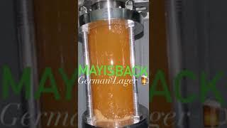 Mayisback German Lager