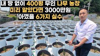 임대한 땅에 400평 무인나무농장 짓고 후회되는 6가지 실수