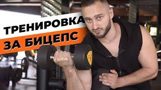 Тренировка за бицепс l Radostin Kuzmanov l GymBeam