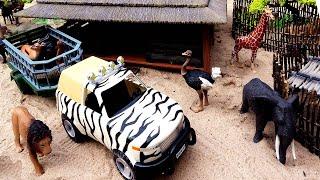 Safari Animal Figurines and Fun Playsets