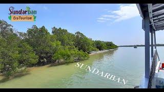 Amazing Sundarban Tour with Trible Vibes | Sundarban Eco Tourism