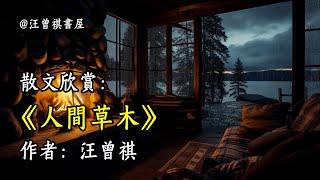 經典散文欣賞《人間草木》作者：汪曾祺 #文學 #讀書 #閱讀 #asmr #曆史 #故事 #工作氛圍 #有聲書 #學習氛圍