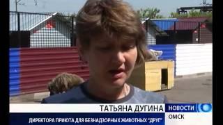 Новым постояльцем обзавёлся приют для собак "Друг"