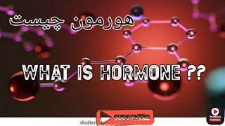 فیزیولوژی گایتون/ هورمون / هورمون چیست / انواع هورمون / hormone/what is hormone