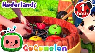 Leer tellen met appels!| CoComelon Nederlands - Kinderliedjes