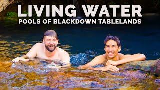 The most stunning waterholes we’ve seen! - Blackdown Tablelands