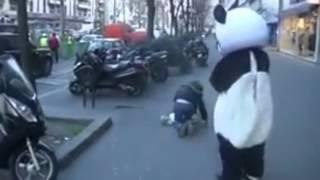 Панда кастует падение/Panda cast fall