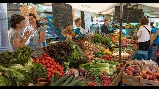 Saturday Market in the Netherlands #shorts #EuropeCruiserVlog | Europe Travel Vlog #europetravel