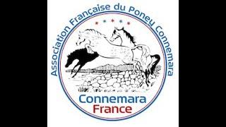 Connemara France - Présentation de l'Association Française du Poney Connemara (AFPC)