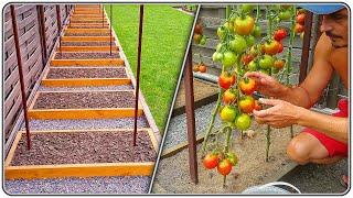 200. Camas de tomate, cómodas y muy productivas (410 kg por 18 m²)