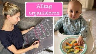 Organisation ist alles - Alltag und Küche neu organisieren I Breifrei und BLW I AllesClärchen