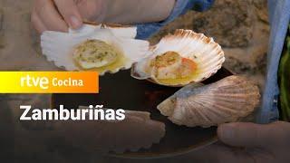 Zamburiñas - Aquí la Tierra | RTVE Cocina