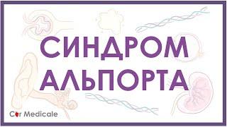 Синдром Альпорта - механизм развития, причины, клинические проявления