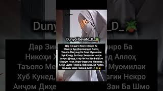 #падар #модар #зиндаги #оила #сабр #шикаст #хаёт _)))🪴