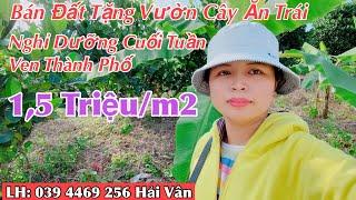 Bán Đất Vườn Diên Khánh Khánh Hòa, Vườn trồng sẵn cây ăn trái đã ra quả