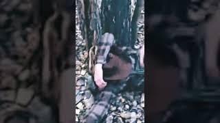 Макс важный хотел прикончить нового маньяка Герасима