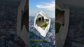 Cát Tường Smart City: Khám phá nhà ở xã hội hiện đại nhất Bắc Ninh!